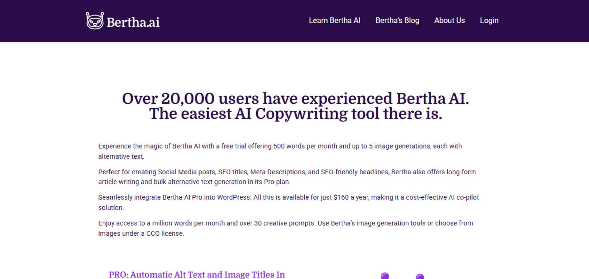 Bertha.ai