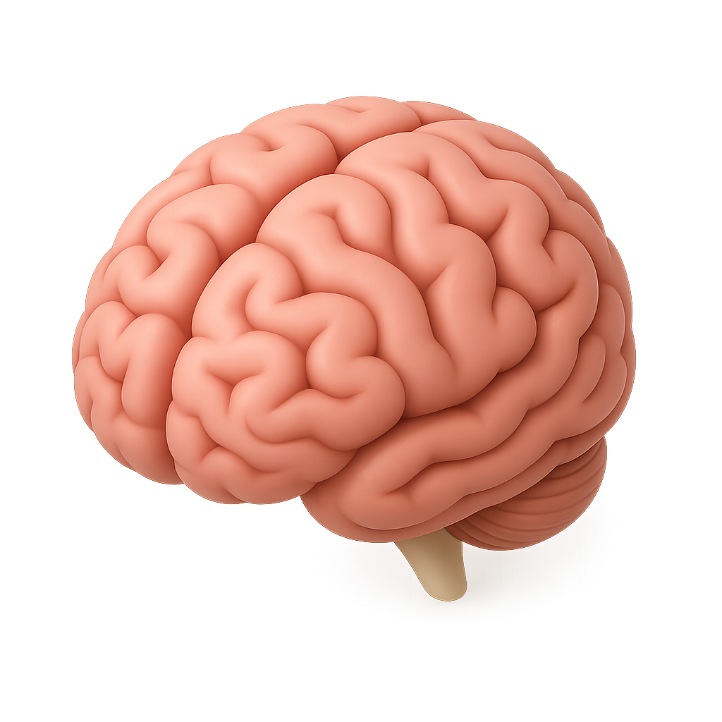 image vCbtdmRUutVmm5NeAk2OPuldTwPzC9